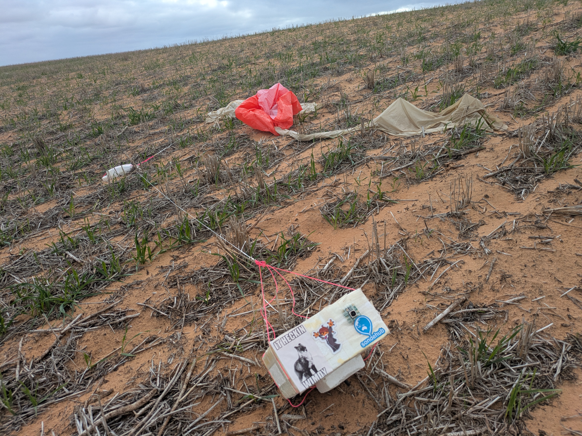 Balloon, parachute, and two payloads in the field