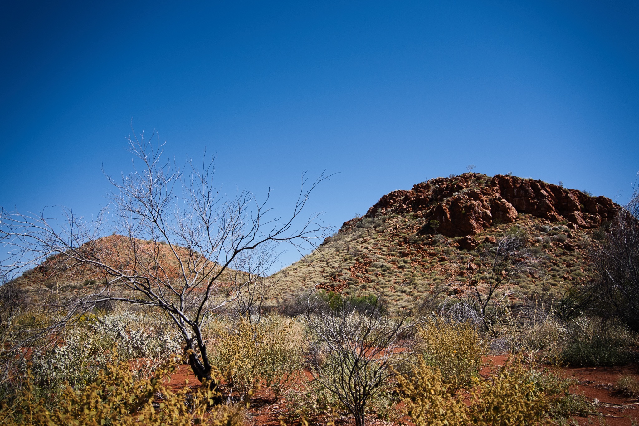 &ldquo;Rocky terrain