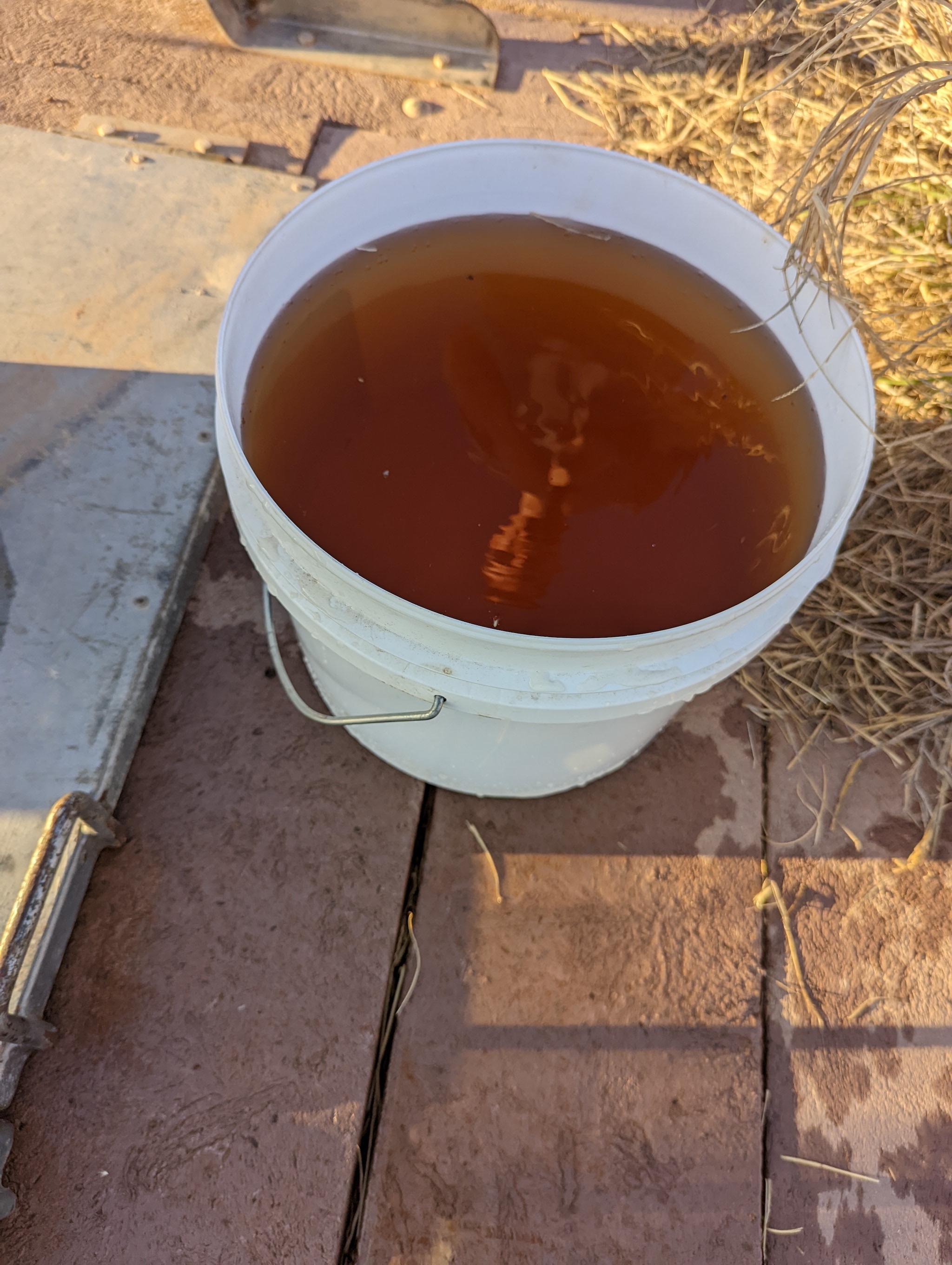 Brown water from Well 41