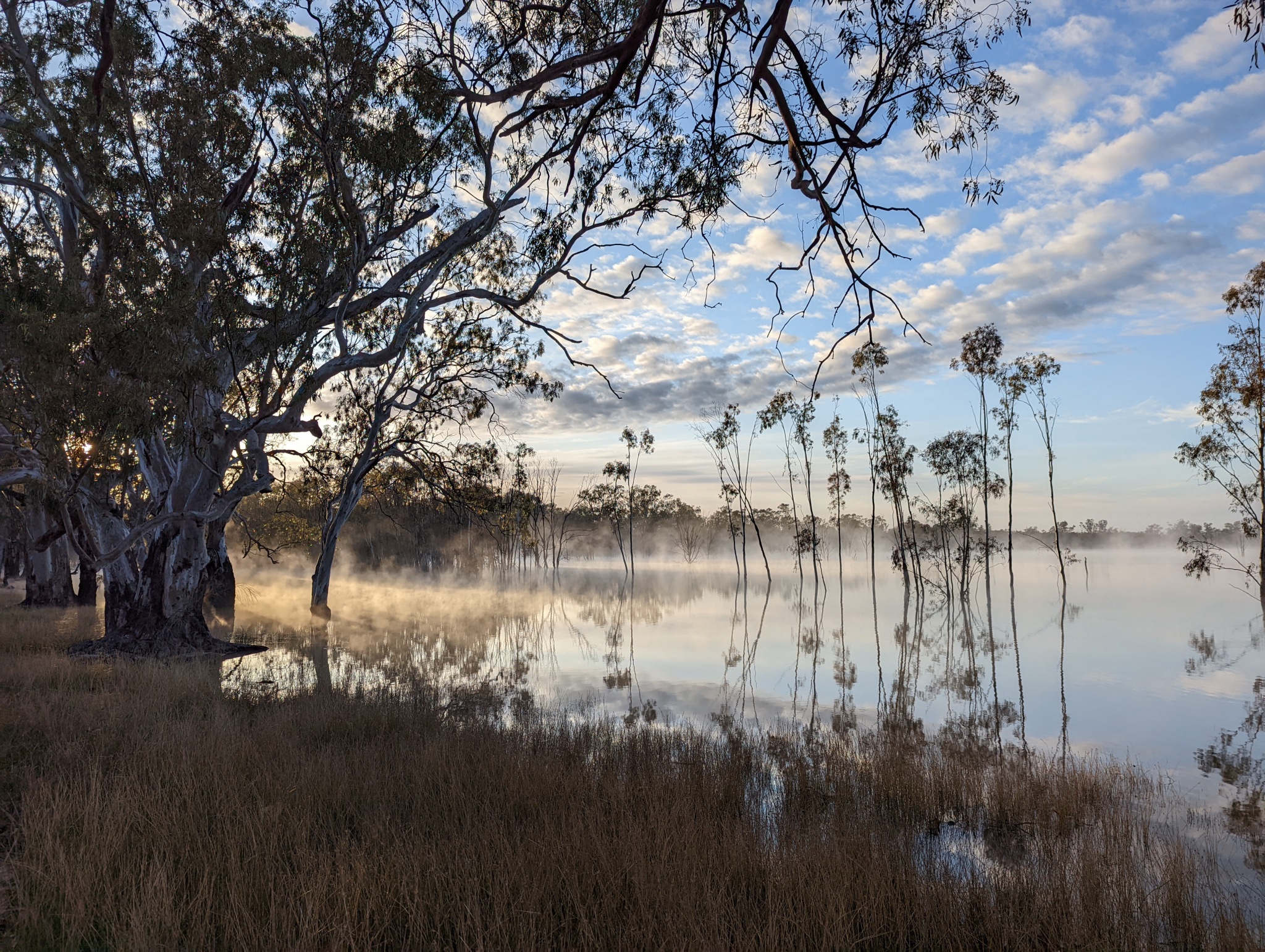 Morning mist at Lake Hattah