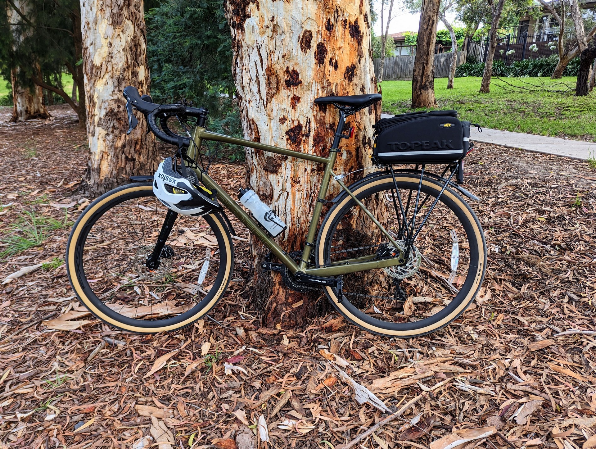 Olive green bike resting against tree with pannier rack and trunk bag installed