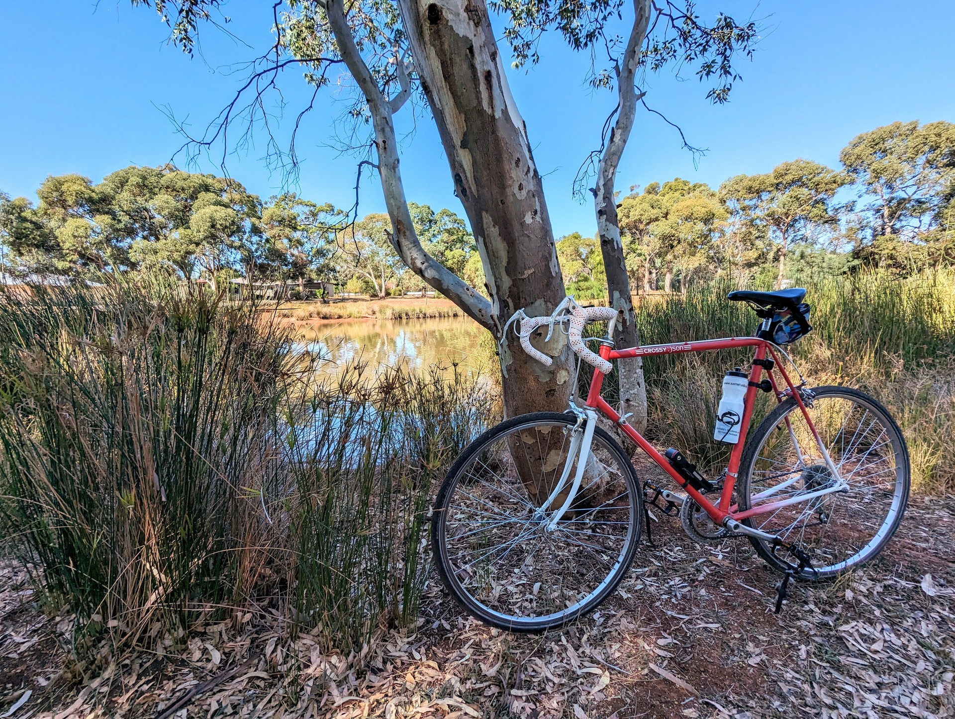 Finished bike leaning against tree with a view of a small lake