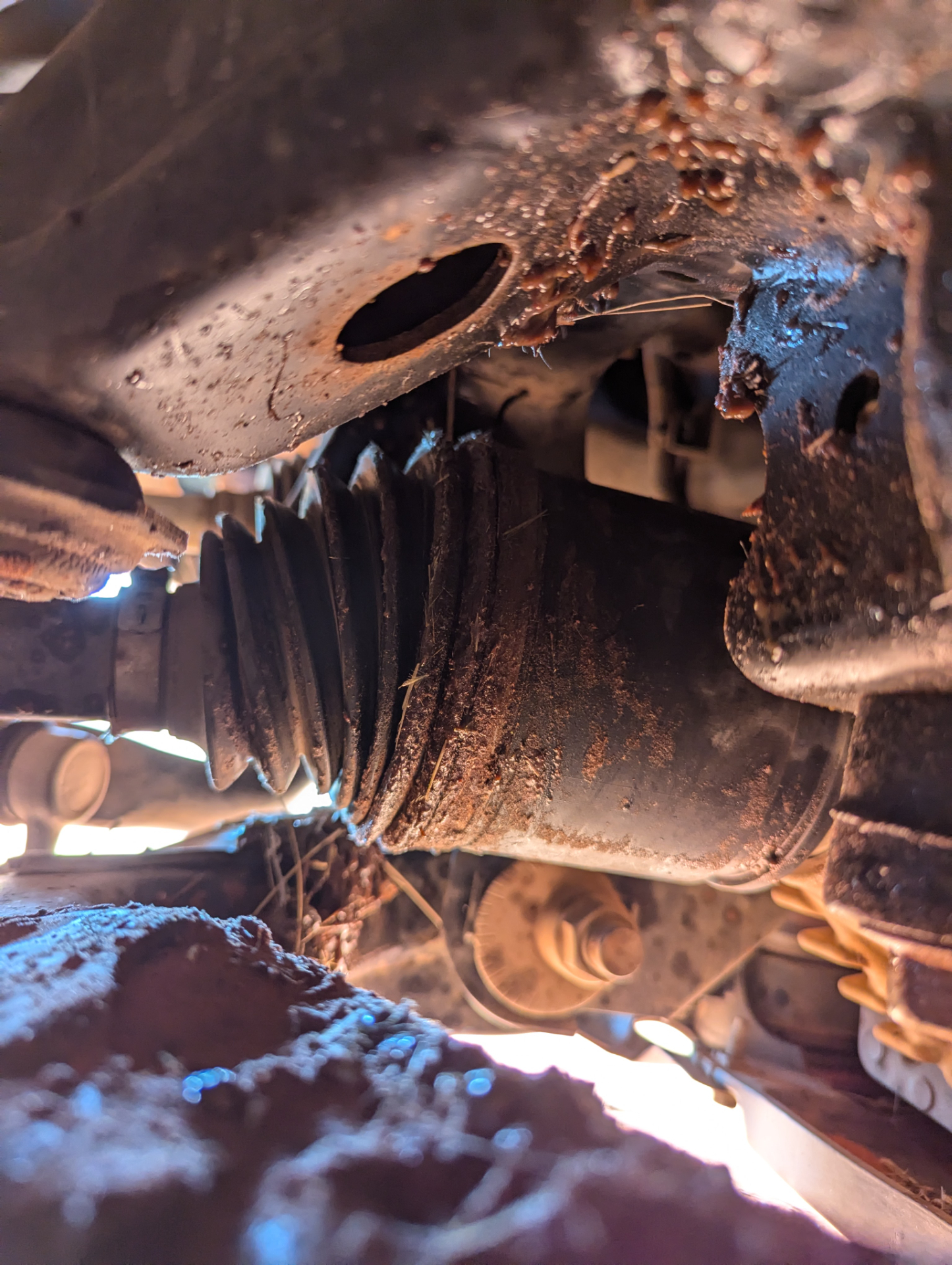 grease covered area around the CV joint