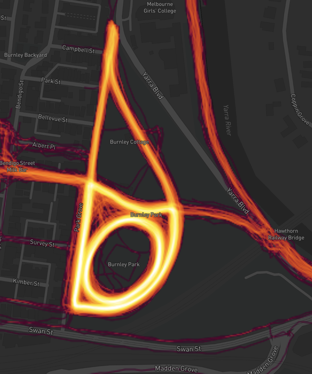 Strava heatmap showing lots of laps around burnley park oval